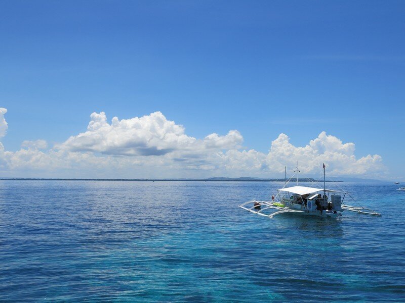 IMG 0487 Красота подводного мира острова Панглао